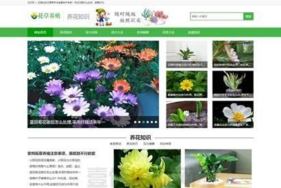 (带手机版数据同步)花卉养殖新闻资讯类织梦模板 绿色花草植物