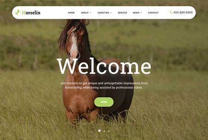 (自适应手机版)养马场畜牧业网站织梦模板 马匹饲养养殖场网站